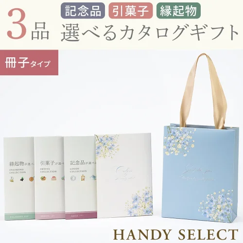 【ハンディセレクト】 ブルー冊子305