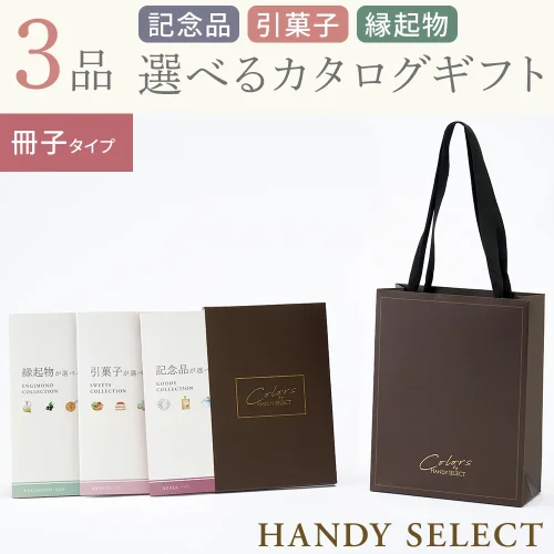 【ハンディセレクト】 ブラウン冊子303