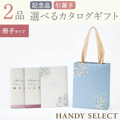 【ハンディセレクト】 ブルー冊子202