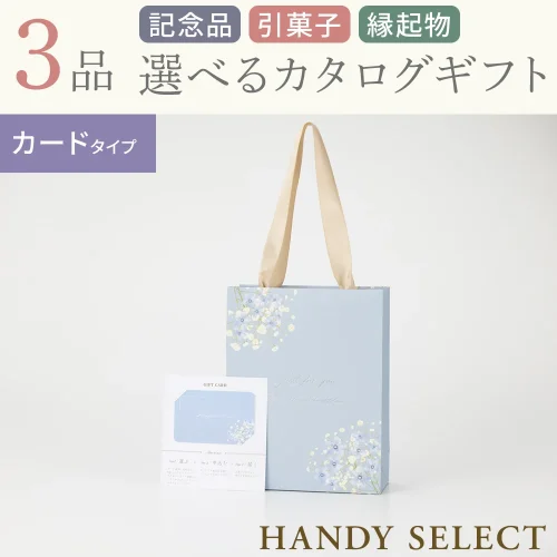 【ハンディセレクト】 ブルーカード306