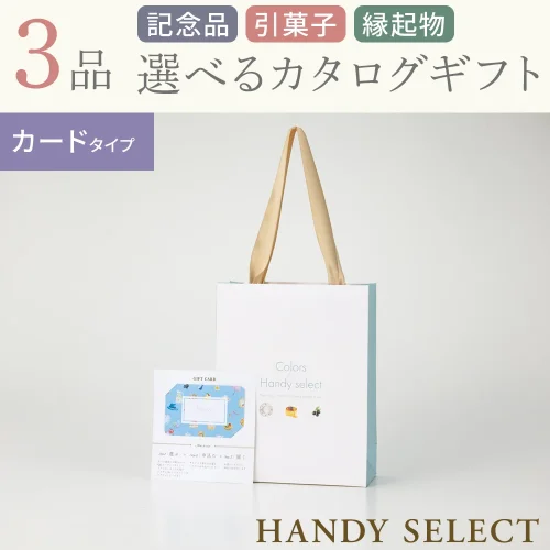 【ハンディセレクト】 シュシュカード310