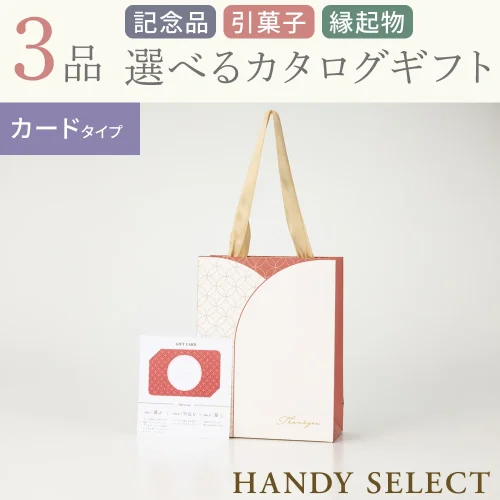 【ハンディセレクト】 みやびカード310