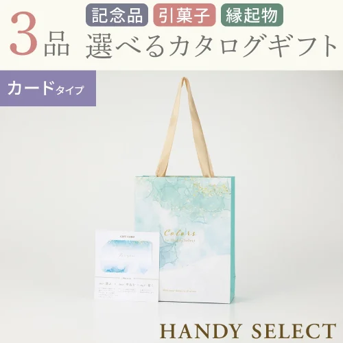 【ハンディセレクト】 オーシャンカード310