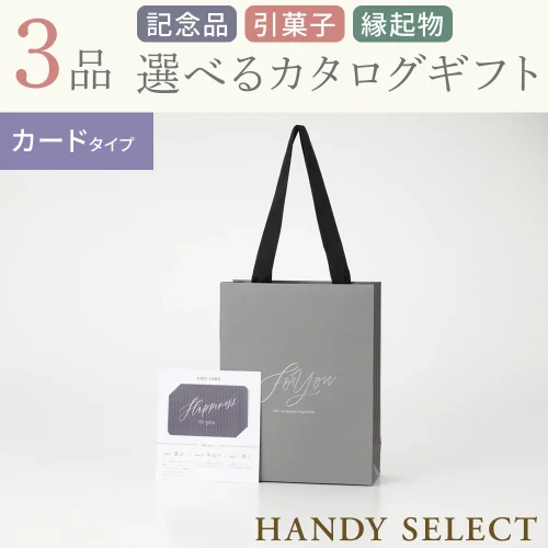 【ハンディセレクト】 グレーカード310