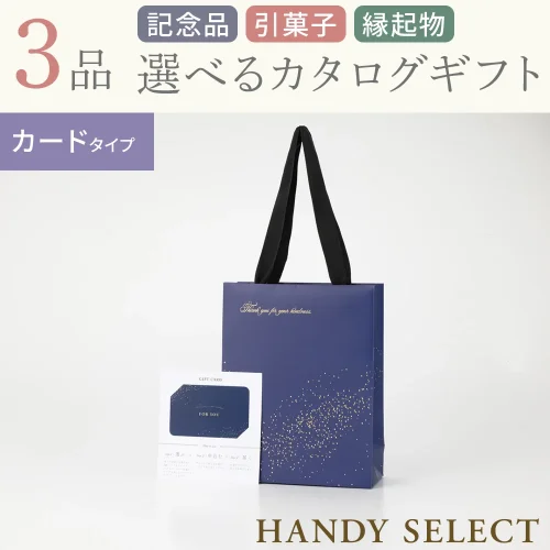 【ハンディセレクト】 スターカード306