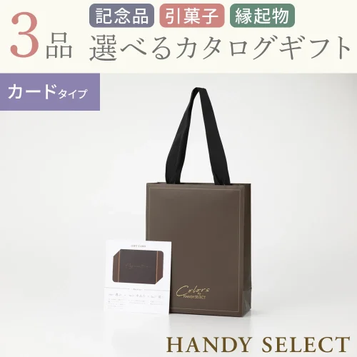 【ハンディセレクト】 ブラウンカード303