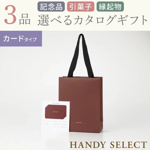 【ハンディセレクト】 ワインカード303