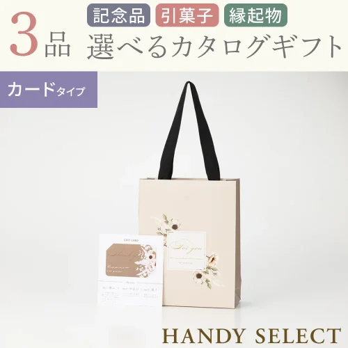 【ハンディセレクト】 シナモンカード308