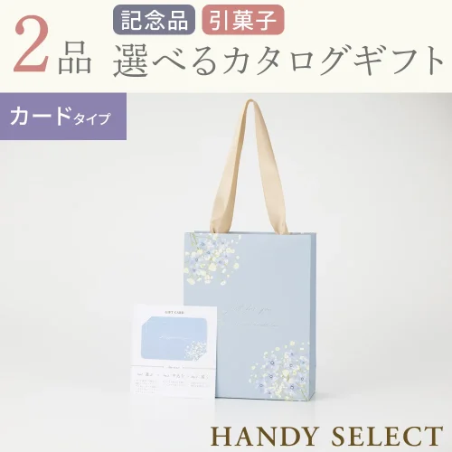 【ハンディセレクト】 ブルーカード209