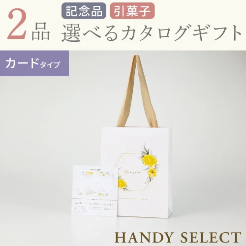 【ハンディセレクト】 ジョーヌカード205