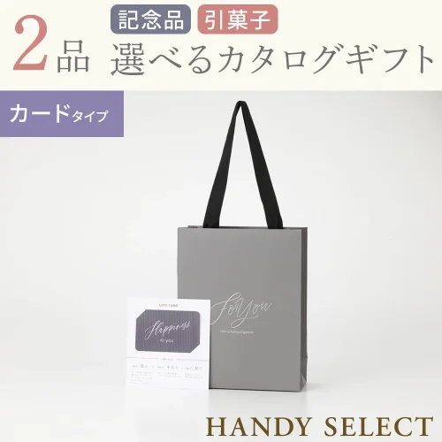 【ハンディセレクト】 グレーカード210