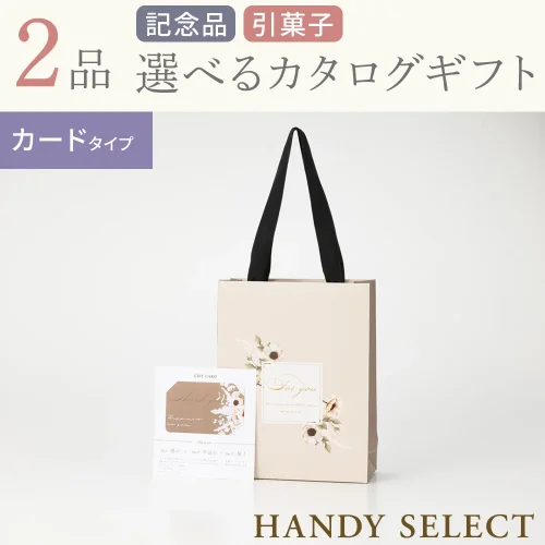 【ハンディセレクト】 シナモンカード201