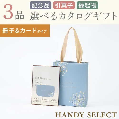 【ハンディセレクト】 ブルー冊子カード306