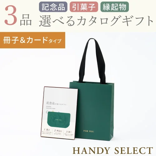【ハンディセレクト】 グリーン冊子カード310