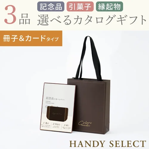 【ハンディセレクト】 ブラウン冊子カード303