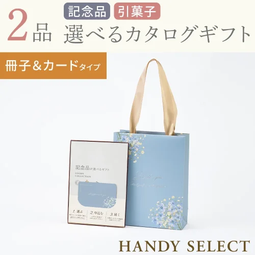 【ハンディセレクト】 ブルー冊子カード209