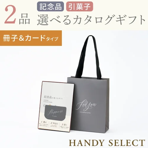 【ハンディセレクト】 グレー冊子カード210