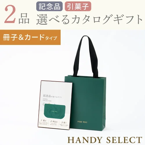 【ハンディセレクト】 グリーン冊子カード209