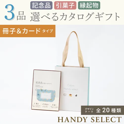 【ハンディセレクト】 ３品 22,800円コース・冊子＆カードタイプ