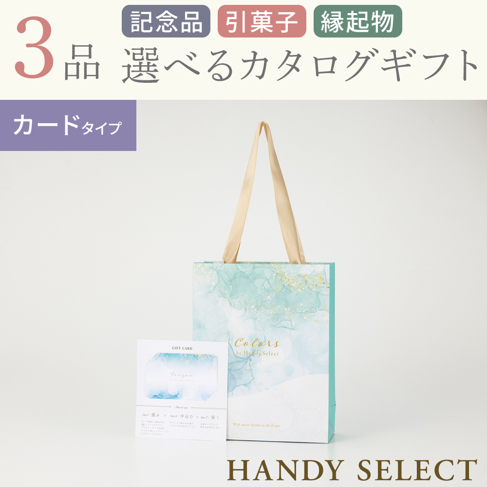 【ハンディセレクト】 オーシャンカード301