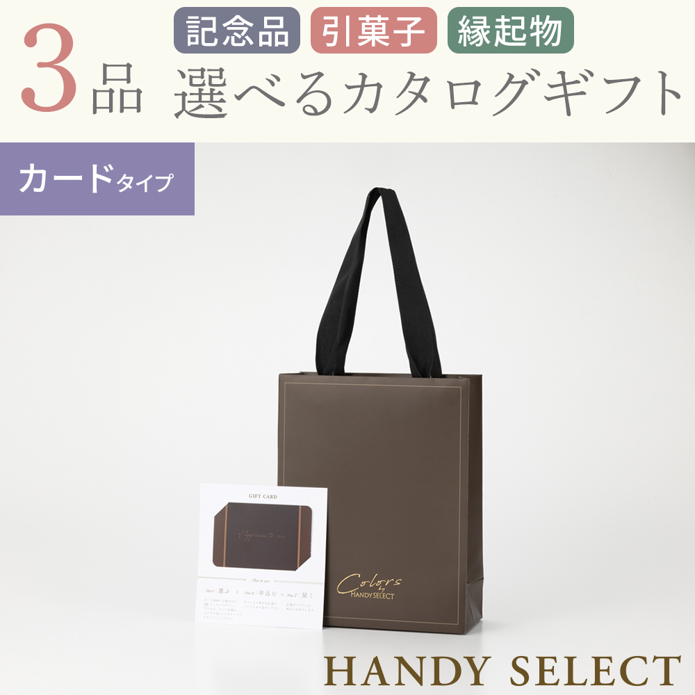 【ハンディセレクト】 ブラウンカード308