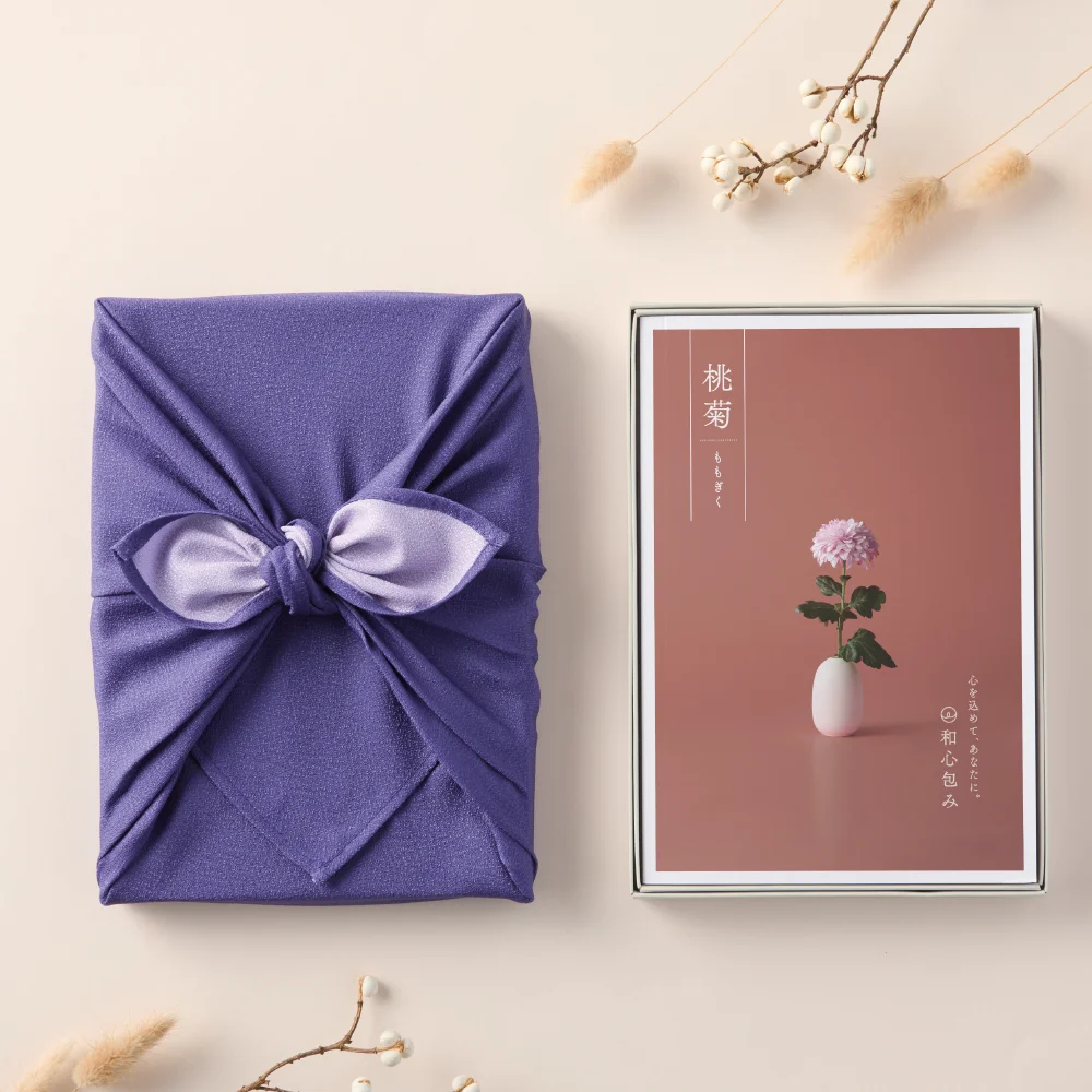 【和心包み】 ももぎく 紫