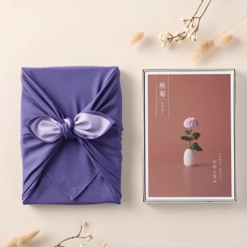 【和心包み】 ももぎく 紫