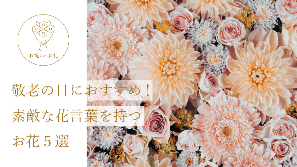 敬老の日におすすめ！ 素敵な花言葉を持つお花５選