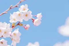 卒業祝い。