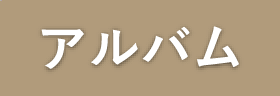 カタログタイプ（アルバム）